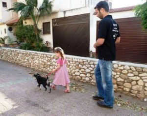 אילוף כלבים בתל אביב
